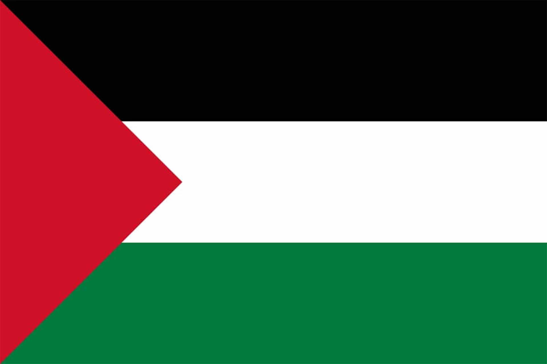 فلسطين فلسطين